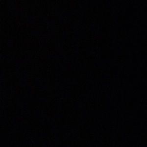 Meet your Posher, Carter